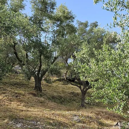 Villa Meditation Μαραθιάς Εξωτερικό φωτογραφία
