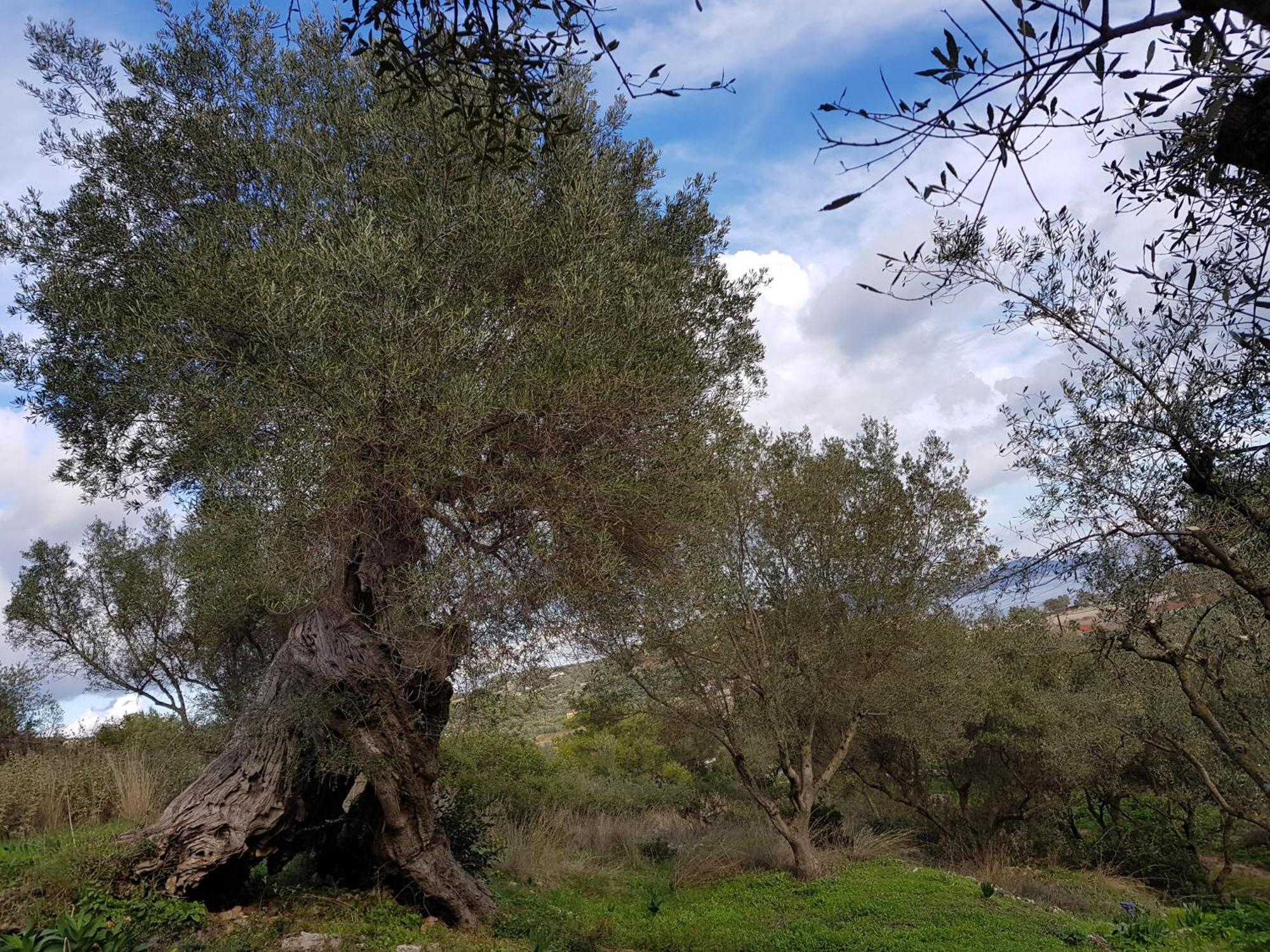 Meditation Holiday home *